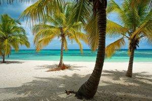 nature, Landscape, Beach, Tropical, Palm Trees, Dominican Republic, Sea, Caribbean, Sand, Island, Summer