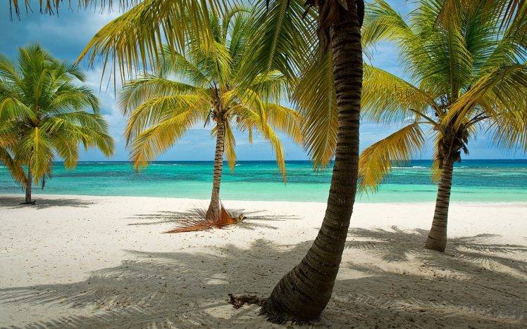 nature, Landscape, Beach, Tropical, Palm Trees, Dominican Republic, Sea, Caribbean, Sand, Island, Summer HD Wallpaper Desktop Background