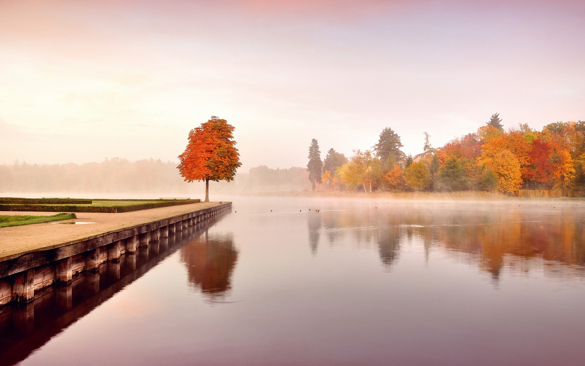 nature, Landscape, Fall, Trees, Water, Calm, Reflection, Pier, Forest, Mist, Lake Wallpaper