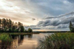 nature, Landscape, Water, Ripples, Sky, Clouds, Evening, Trees, Reeds