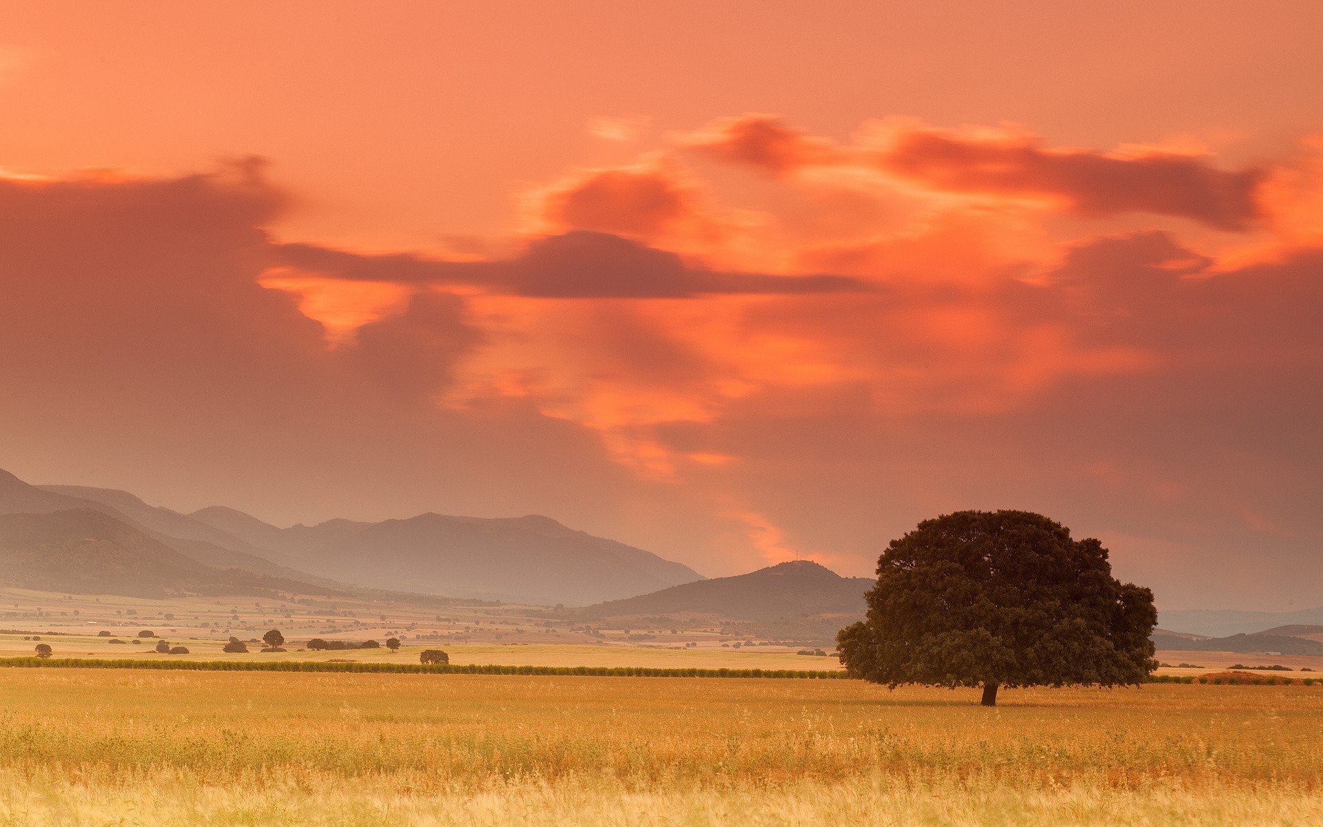 nature, Landscape, Sky, Sunset, Orange, Clouds, Trees, Field, Hill Wallpaper