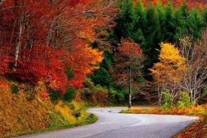 nature, Landscape, Fall, Road, Trees, Forest, Colorful