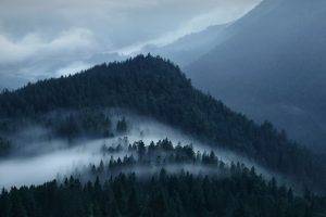 nature, Landscape, Mountain, Forest, Mist, Clouds, Alps