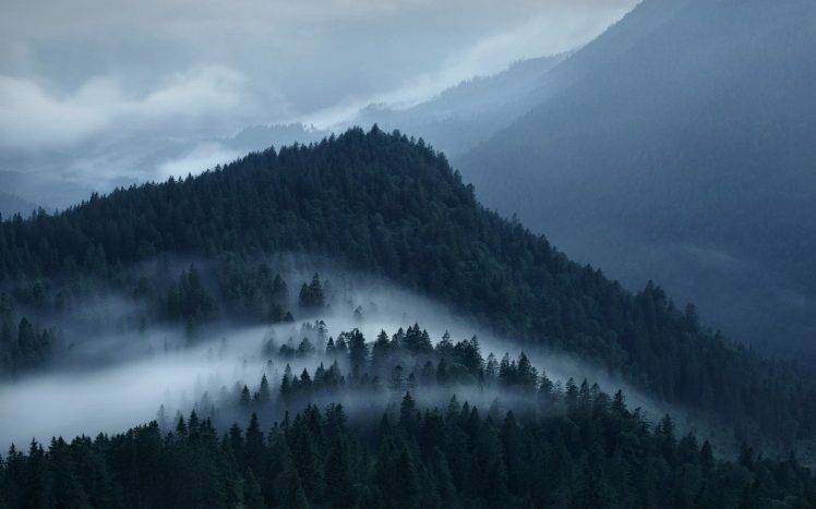 nature, Landscape, Mountain, Forest, Mist, Clouds, Alps HD Wallpaper Desktop Background