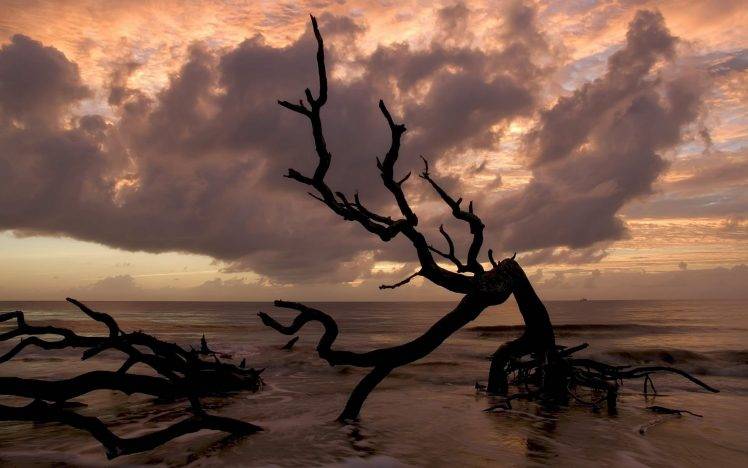 landscape, Sea, Clouds, Driftwood HD Wallpaper Desktop Background