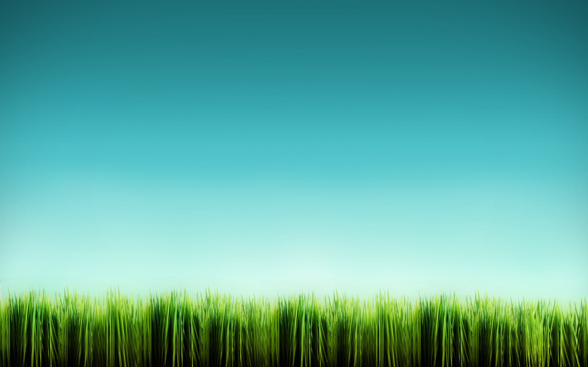 nature, Grass Wallpaper