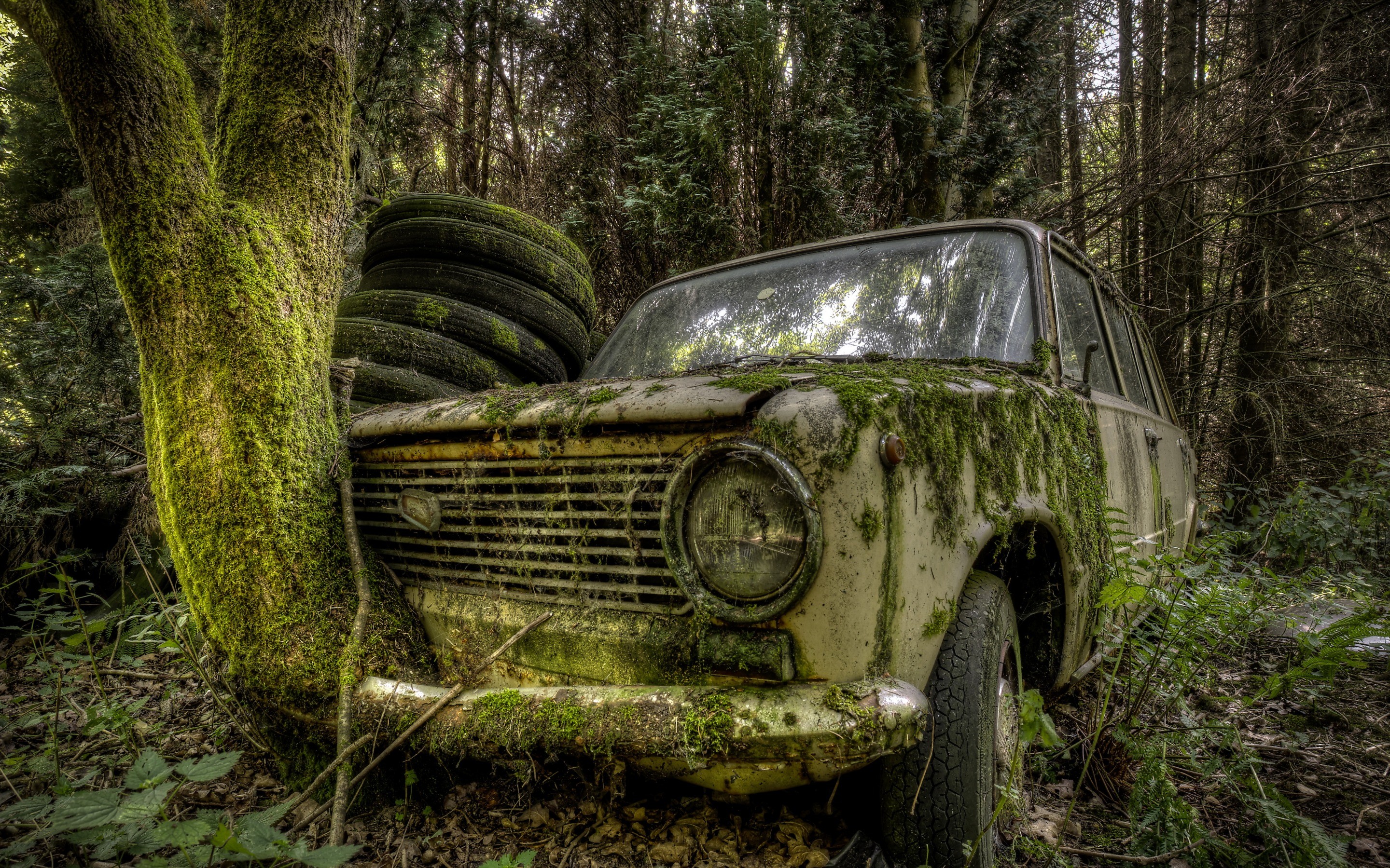 253301 nature trees forest leaves car LADA Russian_cars old_car wreck moss tyres branch rust HDR