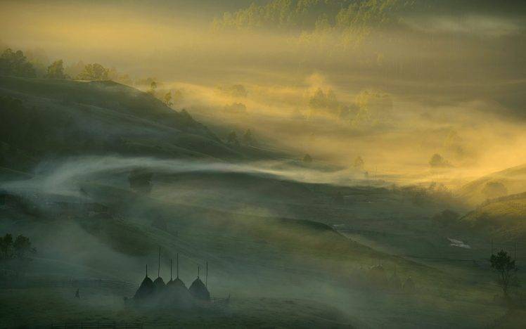nature, Landscape, Sunrise, Mist, Forest, Sunlight, Field, Trees, Valley, Romania, Hill HD Wallpaper Desktop Background