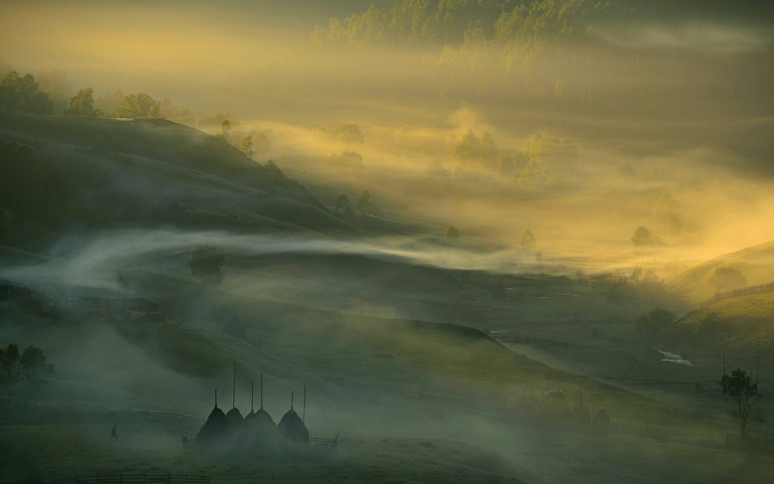 nature, Landscape, Sunrise, Mist, Forest, Sunlight, Field, Trees, Valley, Romania, Hill Wallpaper