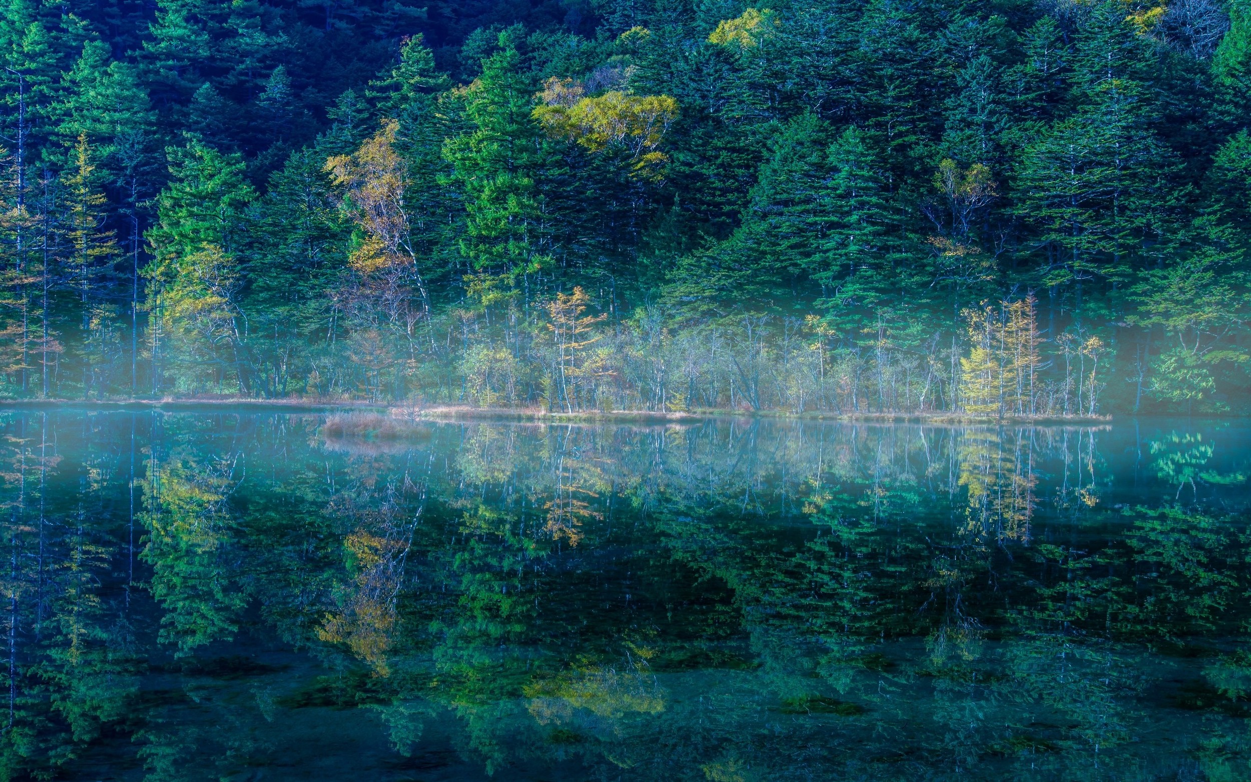 nature, Landscape, Lake, Reflection, Mist, Water, Morning, Japan, Trees, Green, Sunrise Wallpaper