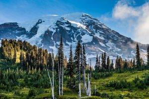 nature, Landscape, Mount Rainier, Washington State, Mountain, Snowy Peak, Forest, Grass, Trees, Clouds, USA, Pine Trees, HDR