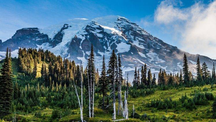 nature, Landscape, Mount Rainier, Washington State, Mountain, Snowy Peak, Forest, Grass, Trees, Clouds, USA, Pine Trees, HDR HD Wallpaper Desktop Background