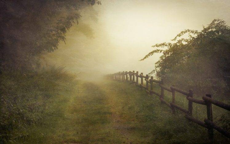 landscape, Nature, Sunrise, Mist, Path, Shrubs, Trees, Germany, Fence, Grass HD Wallpaper Desktop Background