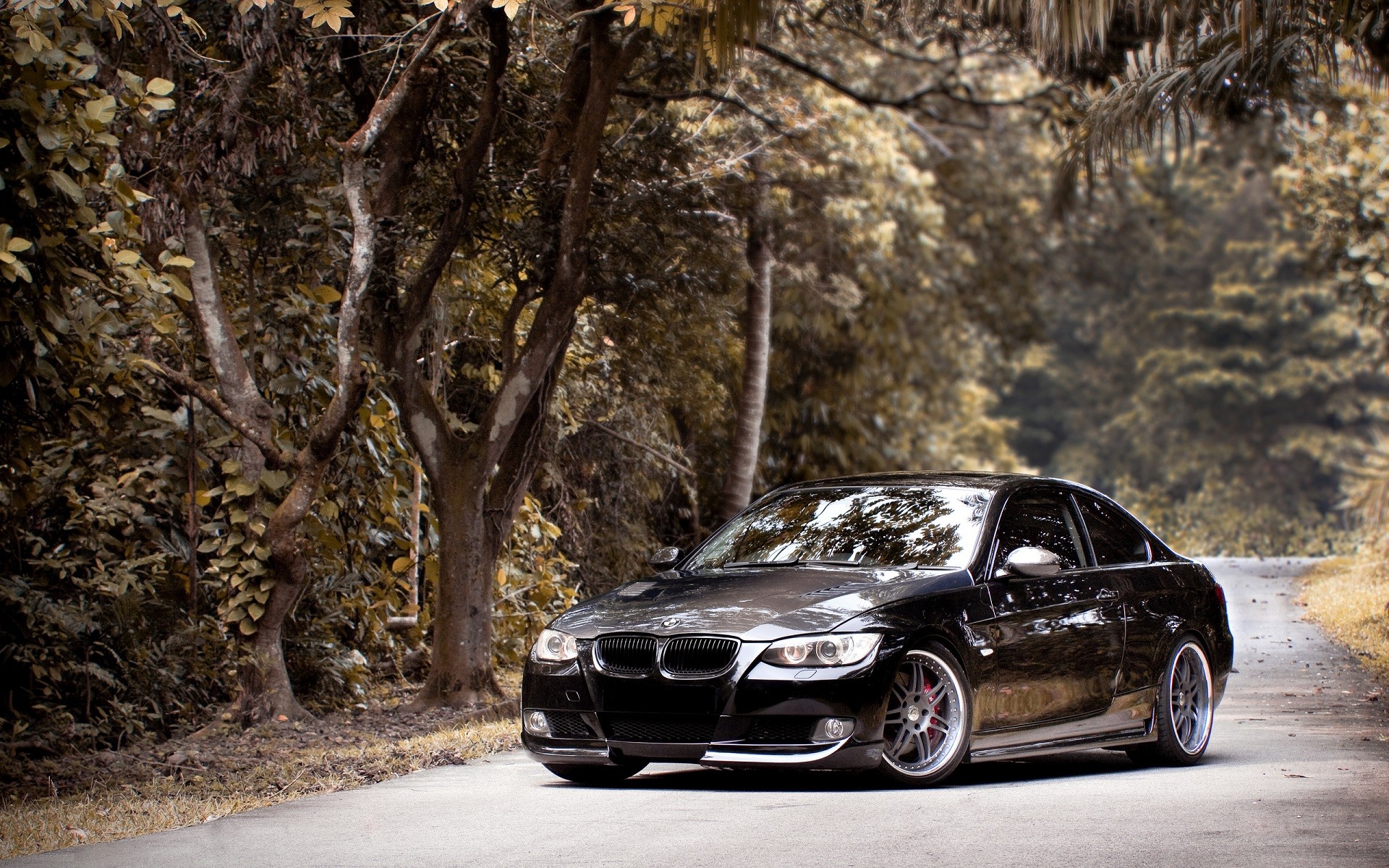 car, BMW, Road, Trees, Forest, BMW E92, BMW 3 Series Wallpaper