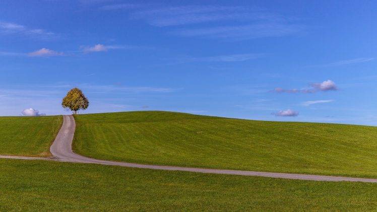 nature, Landscape, Trees, Field, Minimalism, Hill, Grass, Road, Clouds, Sky HD Wallpaper Desktop Background