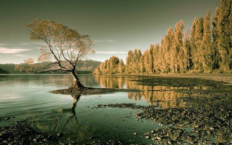 nature, Landscape, Lake, Forest, Trees, Water, New Zealand, Reflection, Mountain HD Wallpaper Desktop Background