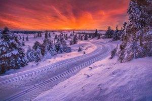 nature, Landscape, Sunrise, Norway, Forest, Road, Snow, Sky, Trees, Winter, Cold, White, Orange