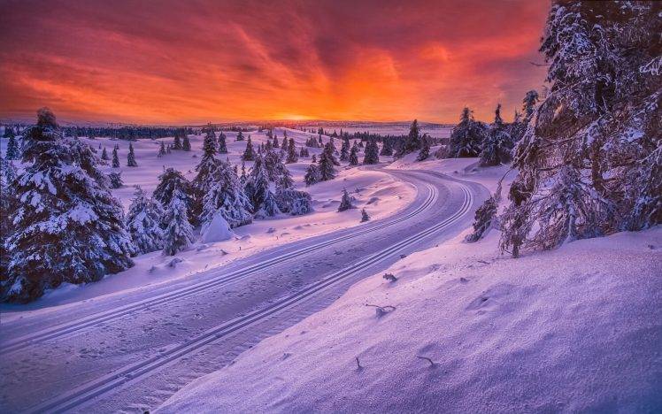 nature, Landscape, Sunrise, Norway, Forest, Road, Snow, Sky, Trees, Winter, Cold, White, Orange HD Wallpaper Desktop Background