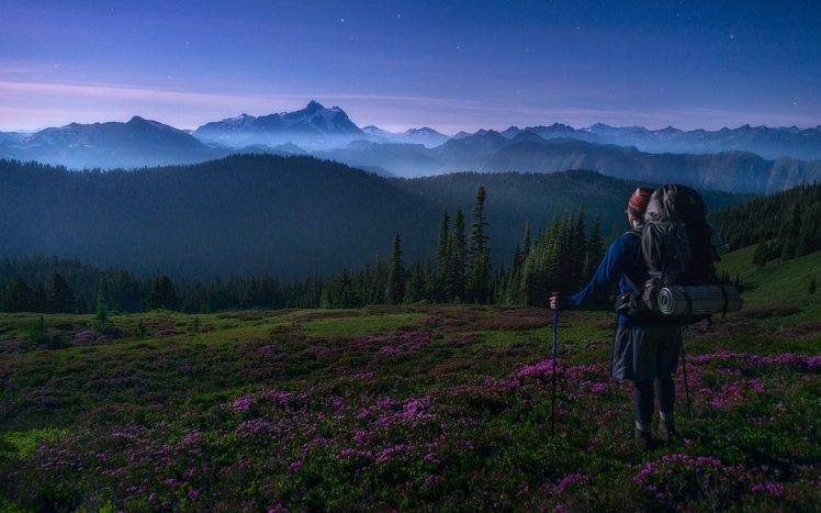 landscape, Nature, Mist, Mountain, Forest, Wildflowers, Hiking, Backpacks, Sunrise, Washington State, Snowy Peak, Spring, Stars HD Wallpaper Desktop Background