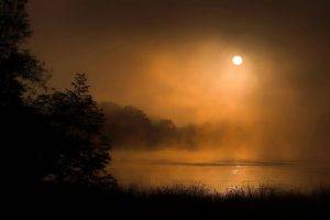 moonlight, Mist, Lake, Nature, Slovenia, Trees, Shrubs, Landscape, Dark, Water