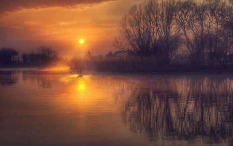 sunrise, Reflection, Calm, Lake, Nature, Landscape, Water, Swans, Mist, Shrubs, Gold, House HD Wallpaper Desktop Background