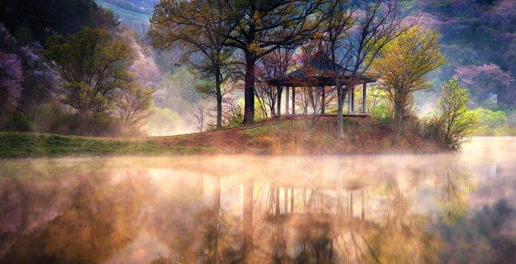 lake, Sunrise, Mist, Reflection, Spring, Trees, Water, Nature, Landscape, Grass, Mountain, Cherry Blossom, South Korea HD Wallpaper Desktop Background