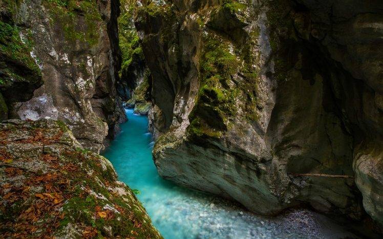landscape, Nature, Canyon, River, Moss, Turquoise, Water, Slovenia, Rock HD Wallpaper Desktop Background