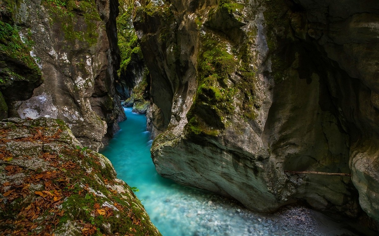 landscape, Nature, Canyon, River, Moss, Turquoise, Water, Slovenia, Rock Wallpaper