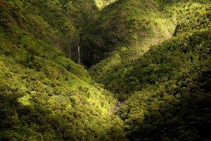 landscape, Nature, Mountain, Forest, Waterfall, Spring, Kauai, Green