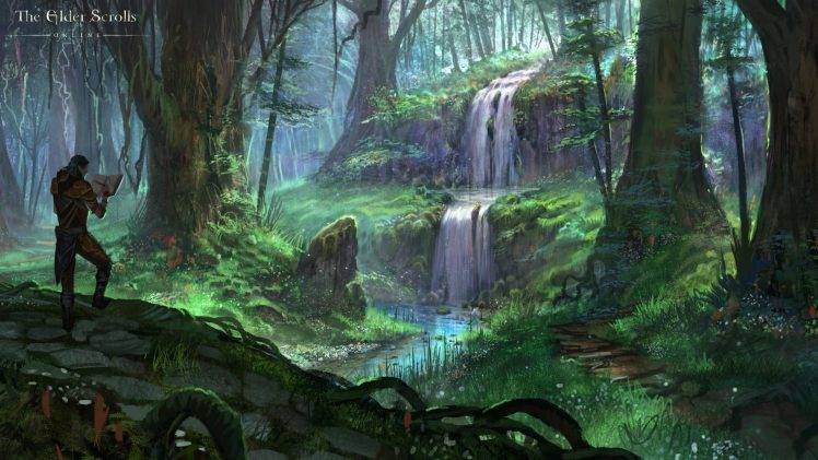 The Elder Scrolls Online, Artwork, Waterfall, Forest HD Wallpaper Desktop Background