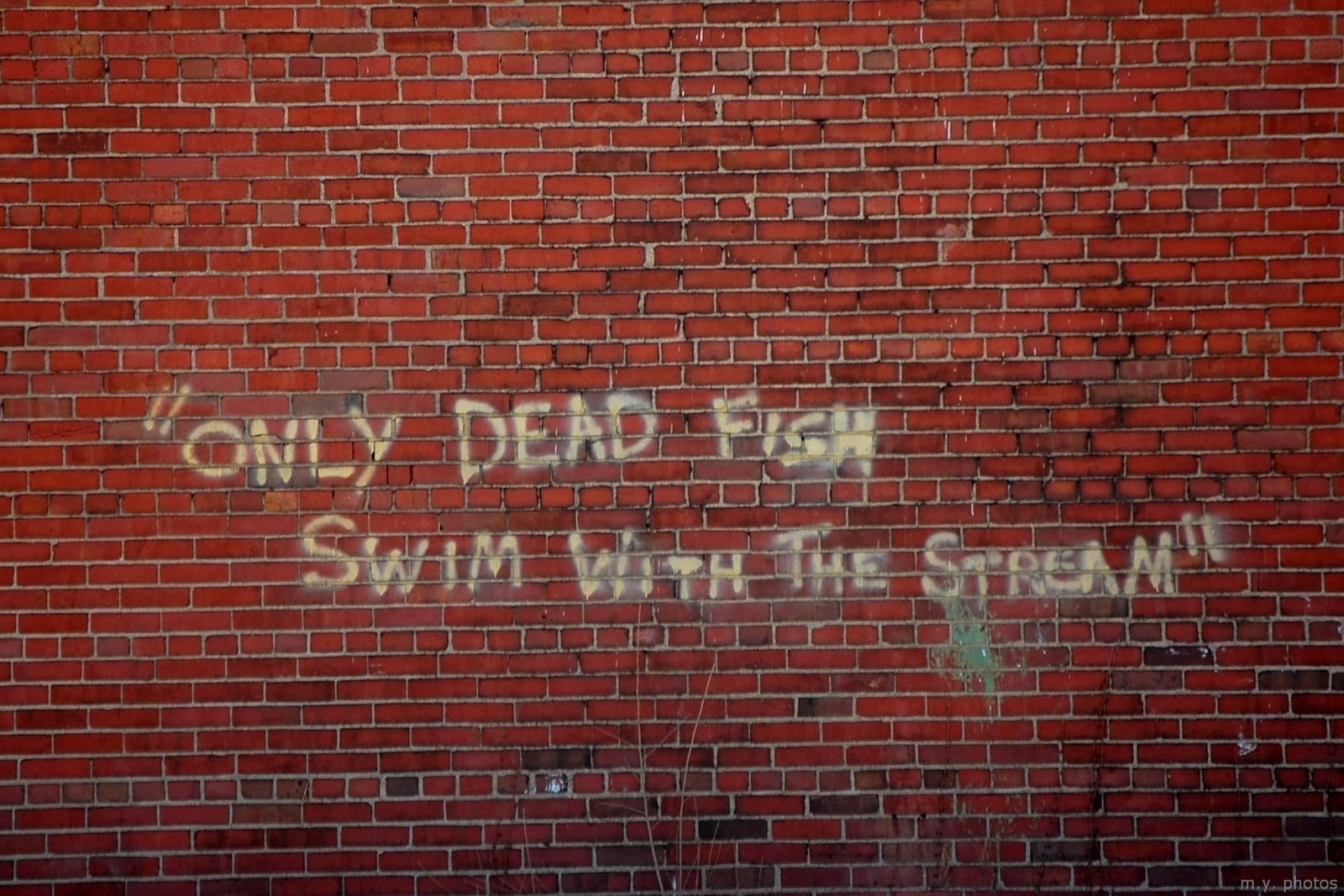 bricks, Quote, Walls Wallpaper