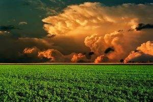 landscape, Field, Clouds