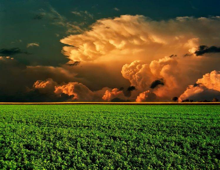 landscape, Field, Clouds HD Wallpaper Desktop Background