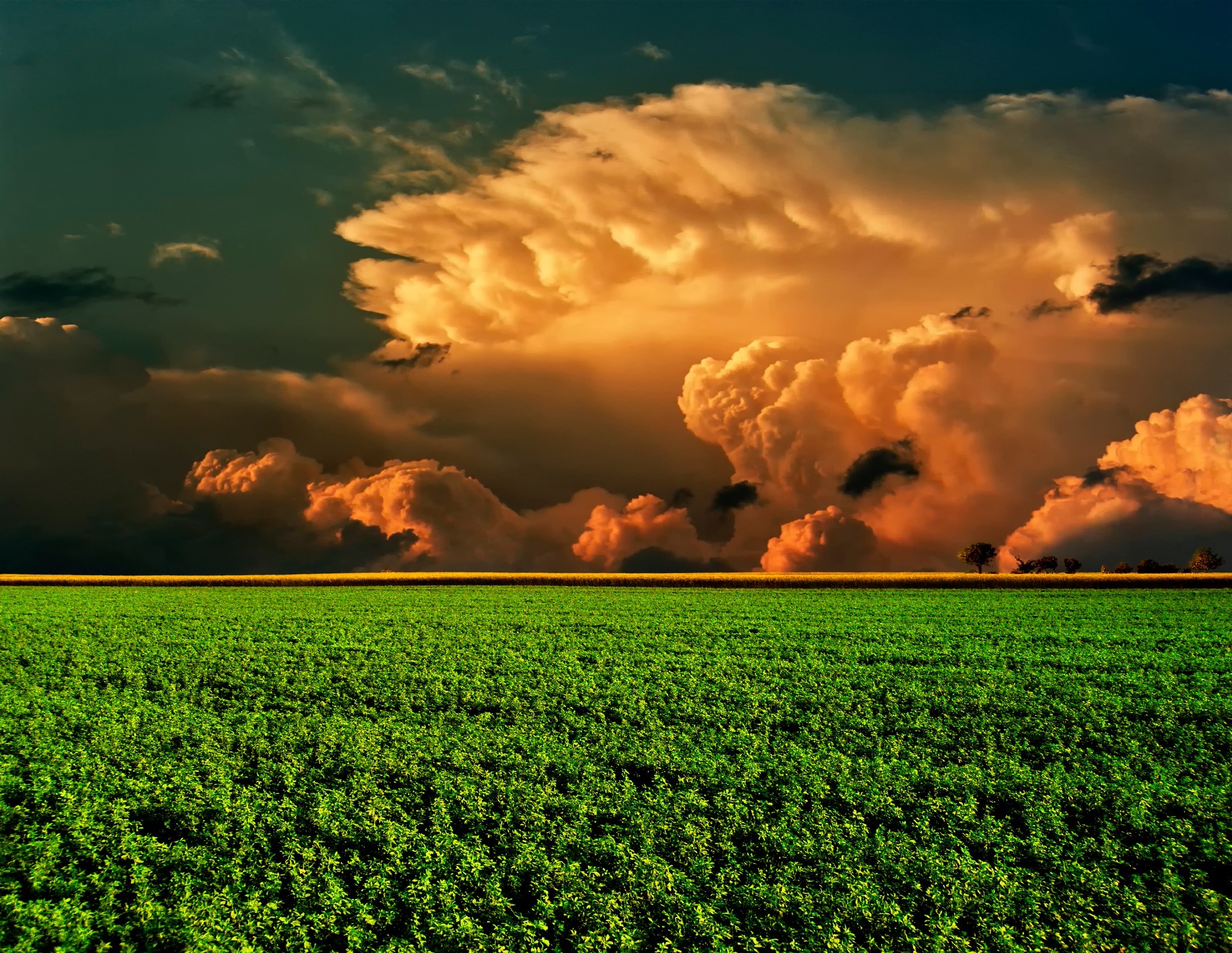 landscape, Field, Clouds Wallpaper