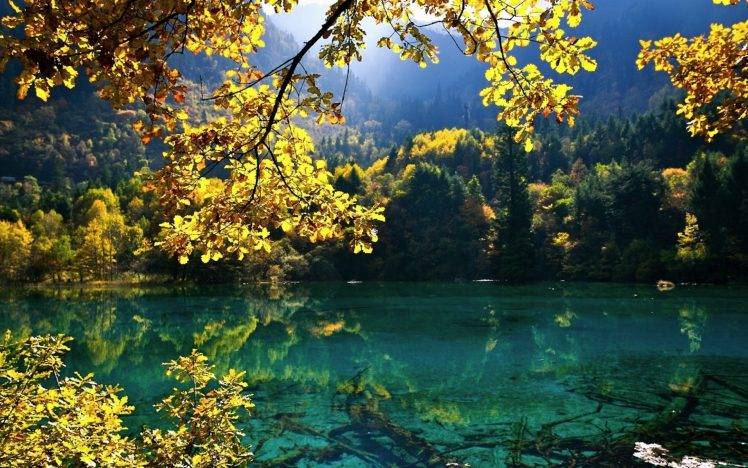 landscape, Pond, Trees, Clear Water HD Wallpaper Desktop Background