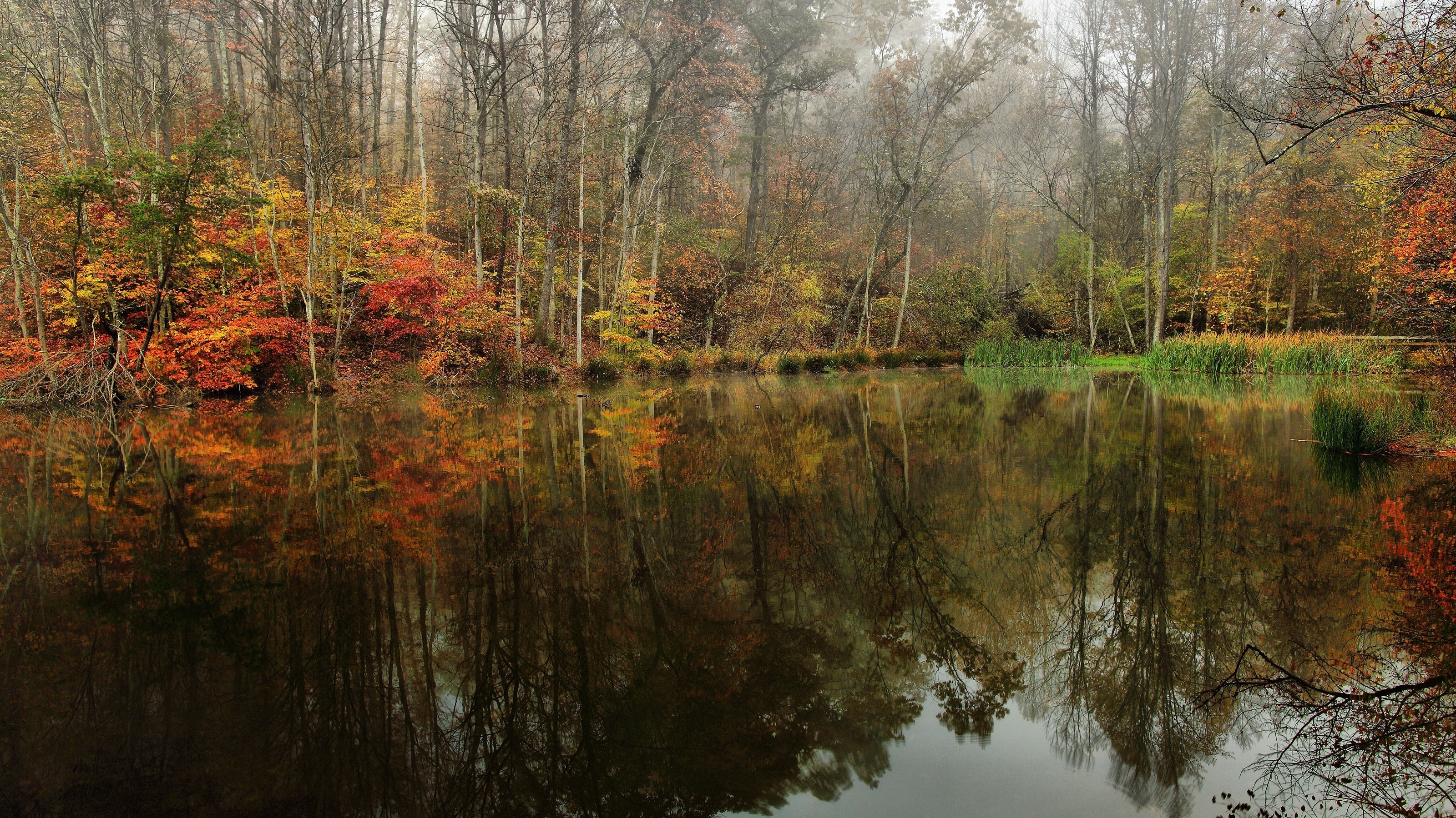 landscape, Water, Trees, Reflection Wallpaper