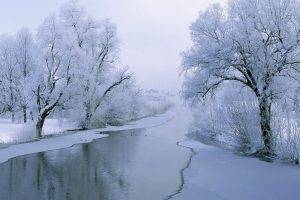winter, Trees, River, Snow, Ice