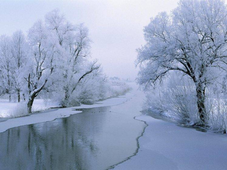 winter, Trees, River, Snow, Ice HD Wallpaper Desktop Background