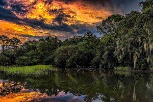 nature, Landscape, Sunset, HDR, River, Reflection, Summer, South Carolina, Clouds, Forest, Sky, Water, Trees, Foliage, Reeds