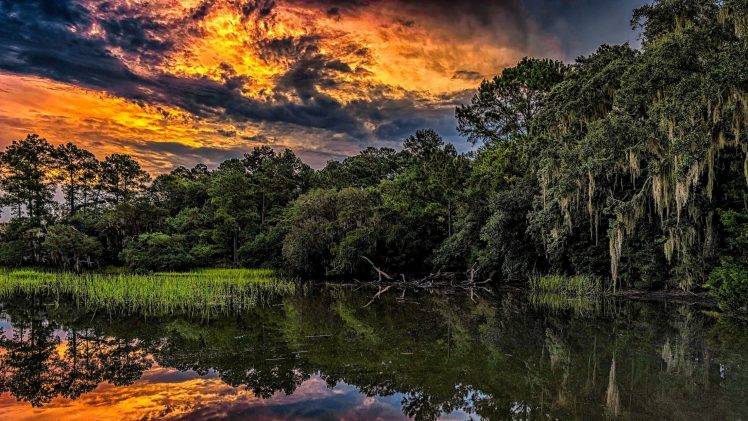 nature, Landscape, Sunset, HDR, River, Reflection, Summer, South Carolina, Clouds, Forest, Sky, Water, Trees, Foliage, Reeds HD Wallpaper Desktop Background