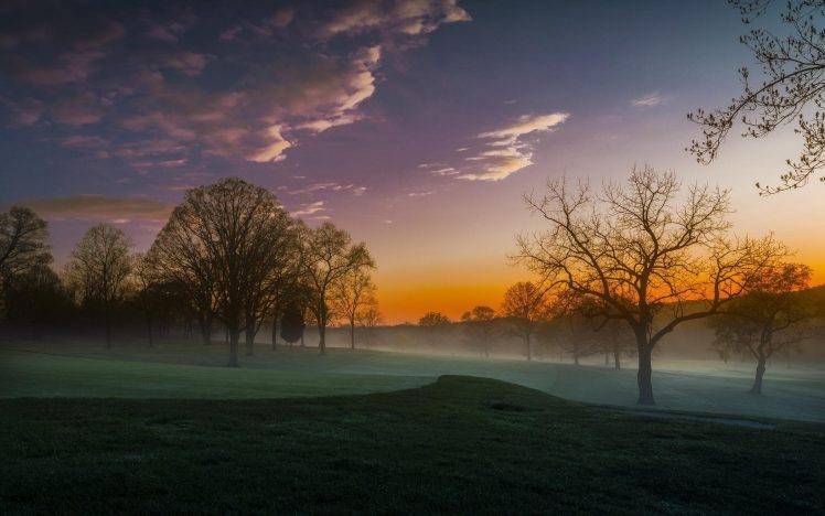 nature, Landscape, Sunrise, Mist, Trees, Clouds, Lawns, Golf Course, Morning HD Wallpaper Desktop Background