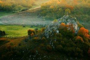 landscape, Nature, Mist, Sunrise, Fall, Forest, Fence, Grass, Horse, Hut, Morning, Rock, Trees, Romania