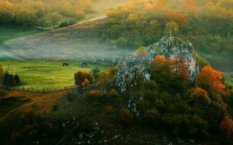 landscape, Nature, Mist, Sunrise, Fall, Forest, Fence, Grass, Horse, Hut, Morning, Rock, Trees, Romania HD Wallpaper Desktop Background