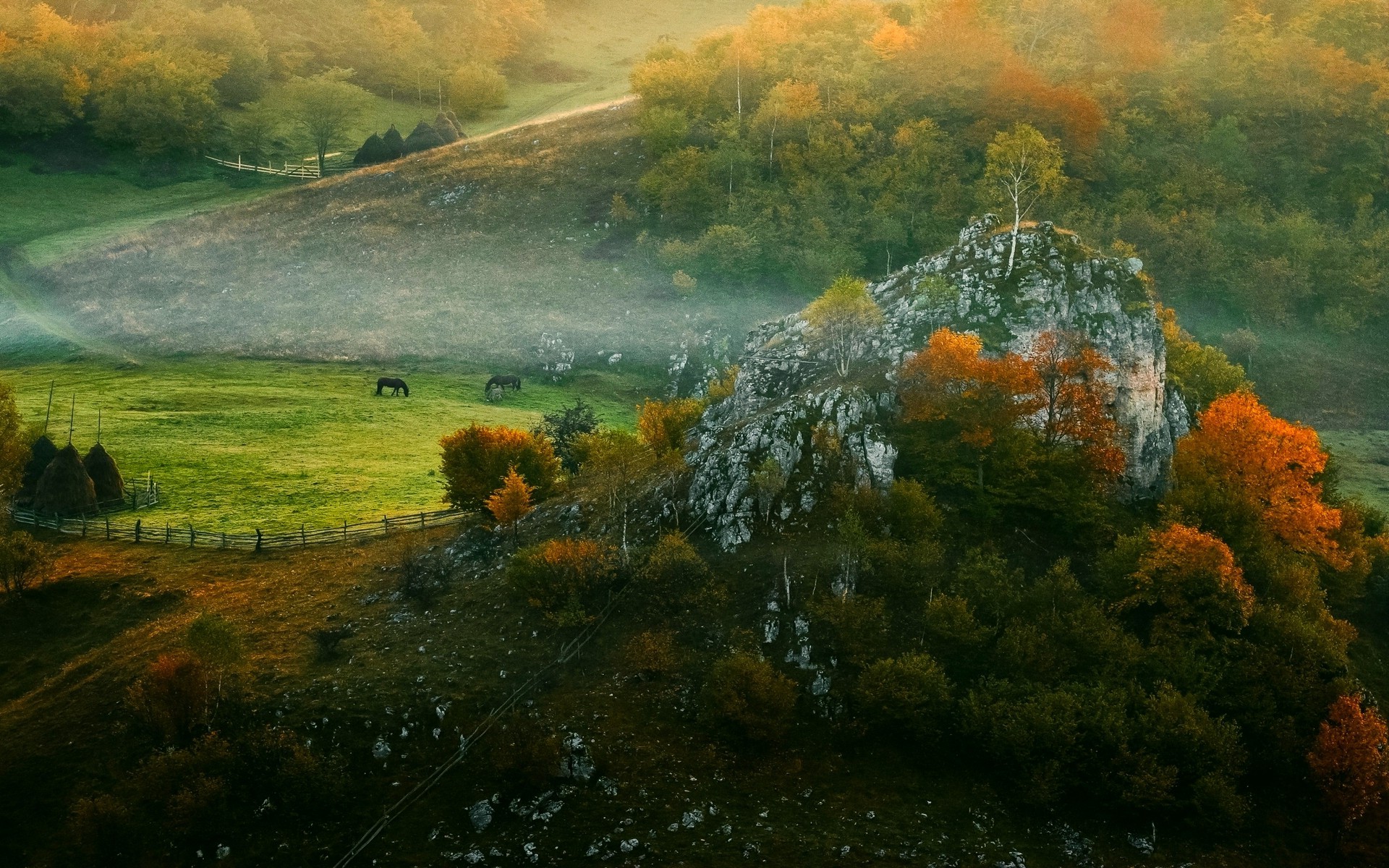 landscape, Nature, Mist, Sunrise, Fall, Forest, Fence, Grass, Horse, Hut, Morning, Rock, Trees, Romania Wallpaper