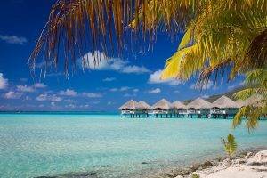 nature, Beach, Bora Bora, Summer, Landscape, Sea, Tropical, Bungalow, Resort, Palm Trees, French Polynesia, Island