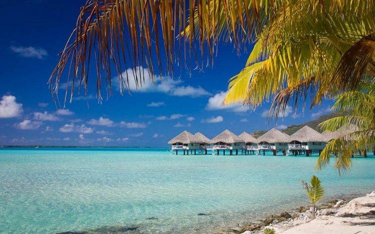 nature, Beach, Bora Bora, Summer, Landscape, Sea, Tropical, Bungalow, Resort, Palm Trees, French Polynesia, Island HD Wallpaper Desktop Background