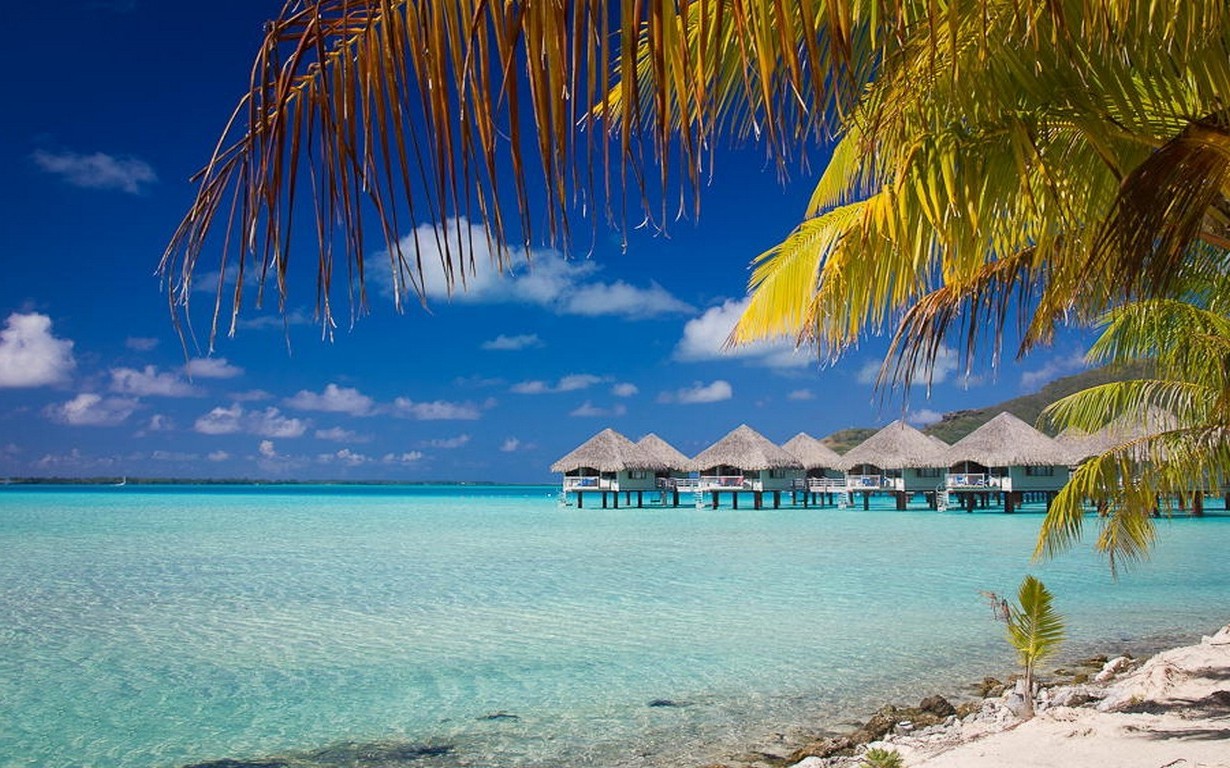 nature, Beach, Bora Bora, Summer, Landscape, Sea, Tropical, Bungalow, Resort, Palm Trees, French Polynesia, Island Wallpaper