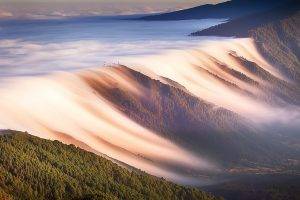 landscape, Nature, Mist, Waves, Forest, Valley, Clouds, Mountain, Morning