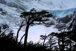 landscape, Nature, Mountain, Snow, Glaciers, Winter, Trees, Torres Del Paine, Chile, Mist