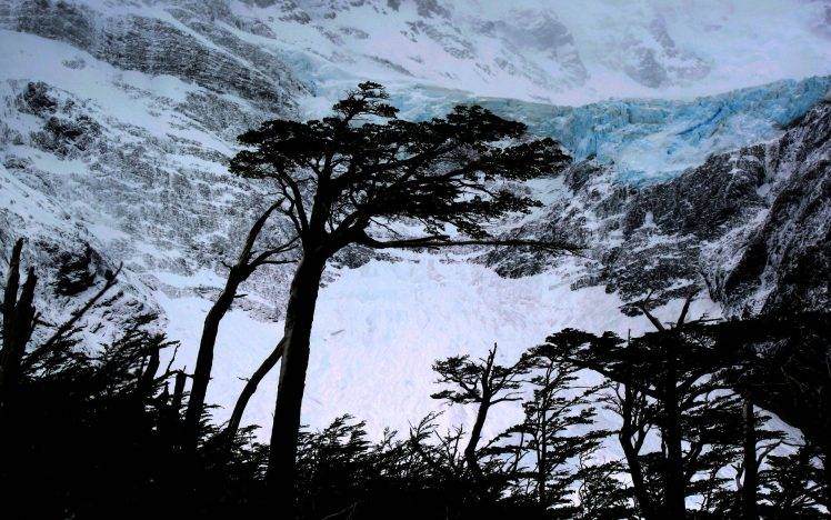 landscape, Nature, Mountain, Snow, Glaciers, Winter, Trees, Torres Del Paine, Chile, Mist HD Wallpaper Desktop Background